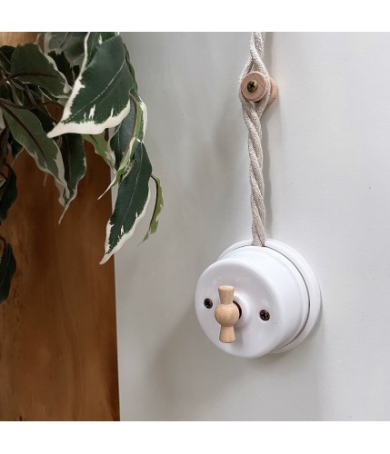 Porcelain rotary switch... 2